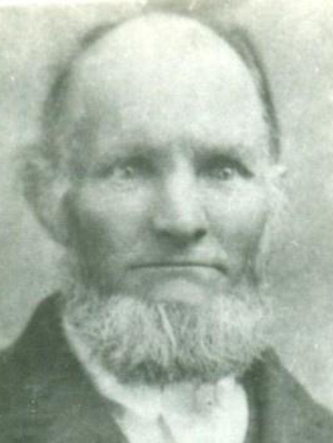 Daniel King (1830 - 1912) Profile